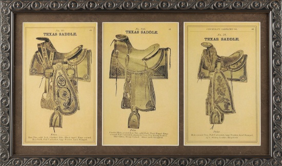 Framed Saddle Advertisement, three styles of Texas Saddles including the No. 80 Rose Tree; No. 203