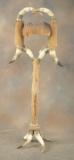 Most unusual horn Floor Lamp with Armadillo Shade, constructed of 10 all matching steer horns with c