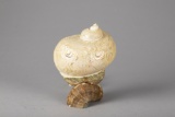 Unique hand carved Sea Shell with lighted back drop beautiful mother of pearl look, incredible carvi