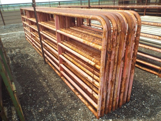 (5) 16' Pipe Gates