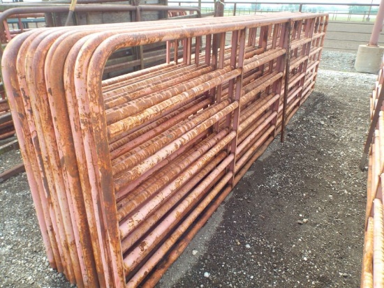 (5) 16' Pipe Gates