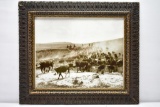 Large Framed Photo Of Early Cattle Drive