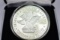 One Ounce American Silver Coin - 
