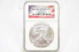 2011 One Ounce American Silver Eagle - 25th Anniversary