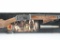 1994 Winchester, LIMITED EDITION CENTENNIAL, 30 WCF cal., Lever-Action (W/ Box), SN - CN09151