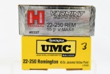 22-250 Rem Caliber Ammunition - Remington/ Hornady - 40 Rounds