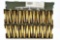 (1 Ammo Can) Federal XM855 5.56x45 W/ Stripper Clips (420 Total Rounds)