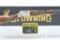 Browning, BL-22 Grade II - Satin Nickel , 22 S L LR, Lever-Action (NIB), SN - 04567ZY242