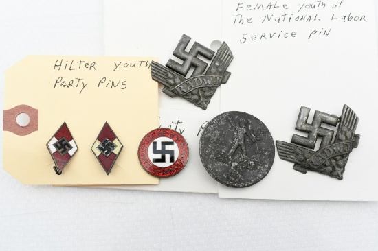 (6) WWII German Nazi Party Pins