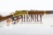 2008 Henry, Big Boy Venturing Limited Edition, 44 Magnum, Lever-Action (NIB), SN - BB29072