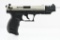Walther P22 Target (5