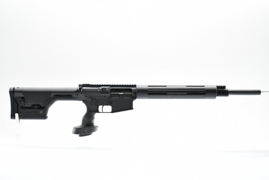 DPMS LR-308 Target (20