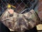 Heat Factor hand warmer - NEW