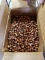 9 mm bullets
