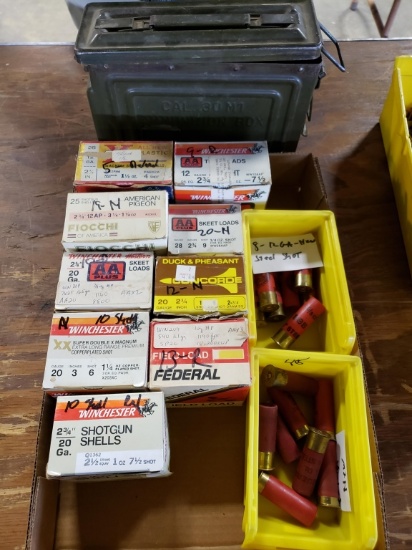 Assorted ammo with can