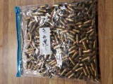 1 gal. bag 9mm bullets