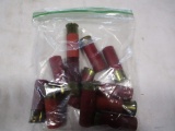 12- 12 ga. shells