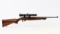 Ruger Model 10/22 carbine semi-auto Rifle