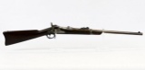 US Springfield Model US 1878 Rifle