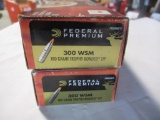 26 rounds 300 WSM