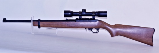 Ruger 10-22 .22 LR s/a rifle