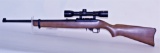 Ruger 10-22 .22 LR s/a rifle