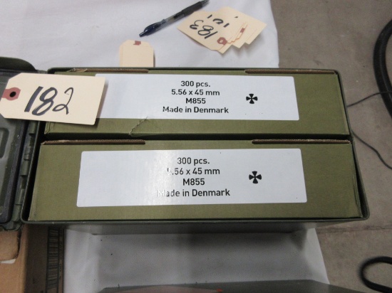 900 rds. 5.56x45mm M855 in ammo box