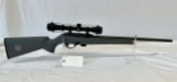 Remington model 597 .22 LR semi-auto rifle