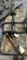 OlympusCompound Bow