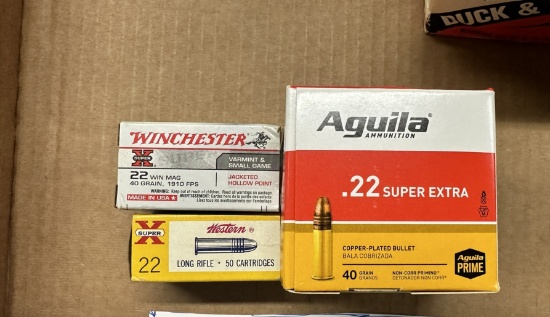 Assorted 22 ammunition