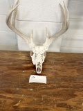 Deer antlers