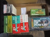 Assorted 22LR caliber ammo