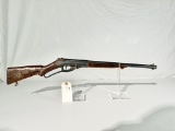 Daisy Defender #141 BB rifle
