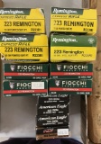 Asst .223 REM ammo