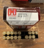 10 rds/6 brass Hornady .243 WIN ammo