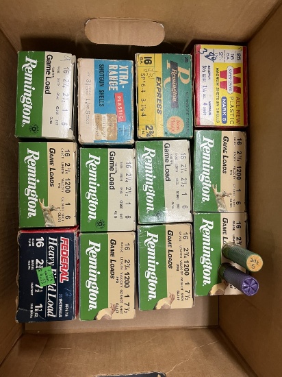 Asst 16 ga shells