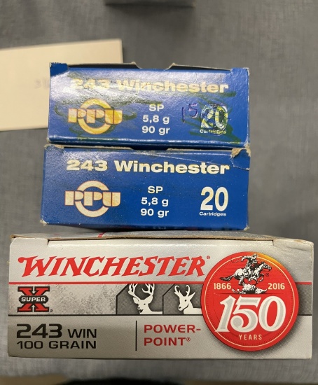 Asst 243 WIN ammo