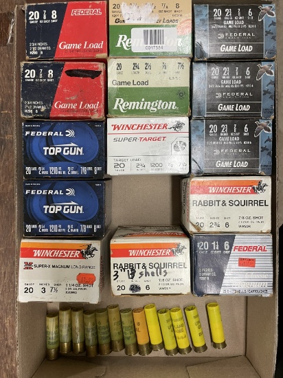 Asst 20 ga shells