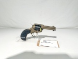 Ruger Wrangler .22 LR single action revolver