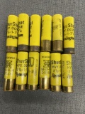 12 - 20 ga shotgun shells