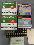 Assorted 223 Rem ammunition