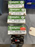 Asst 223 REM ammo