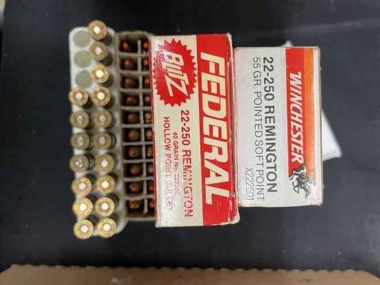 ASSORTED 22-250 REM AMMO