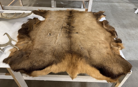 ELK HIDE