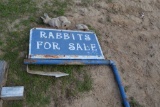 RABBIT FOR SALE SIGN