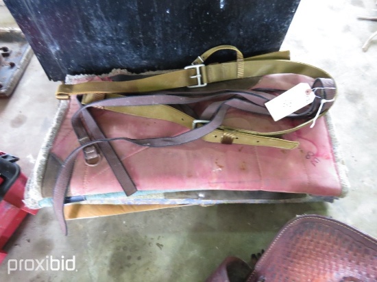 HORSE BLANKETS AND BACK FLANKS