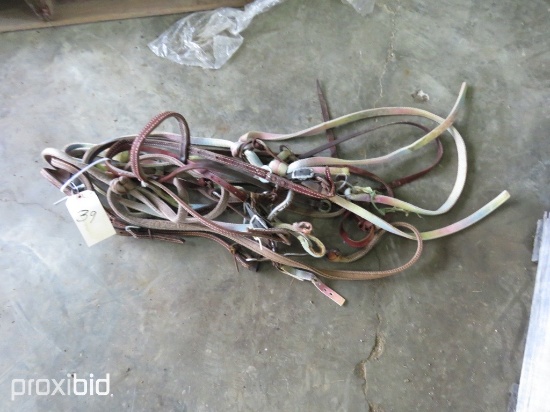BRIDLES