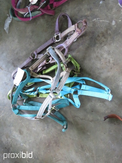 HALTERS