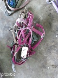 HALTERS