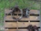 2 PIPE CLAMPS